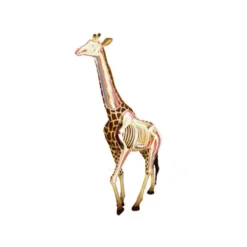 Revell Giraffe Anatomy Model