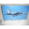 Hasegawa F/A-18E -LOW VISIBILITY- -9736