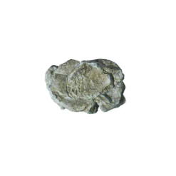 Wind Rock Mold -C1237