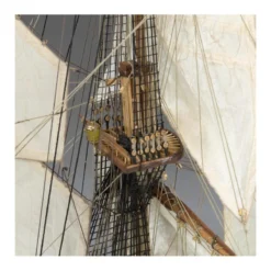 Santa Ana Model 2022 -22905N